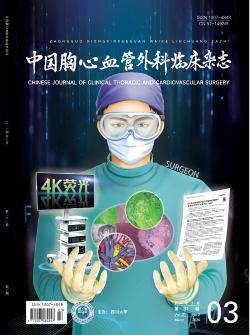 《中國(guó)胸心血管外科臨床雜志》2024年第3期封面賞析