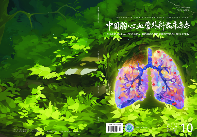 《中國(guó)胸心血管外科臨床雜志》2024年第10期封面賞析